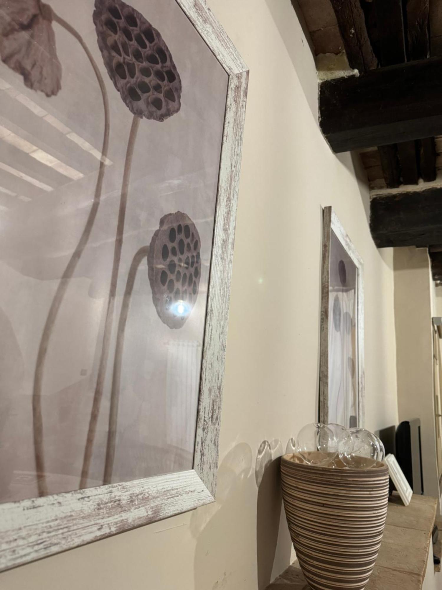 Sforza House 호텔 아쿠아펜덴테 외부 사진